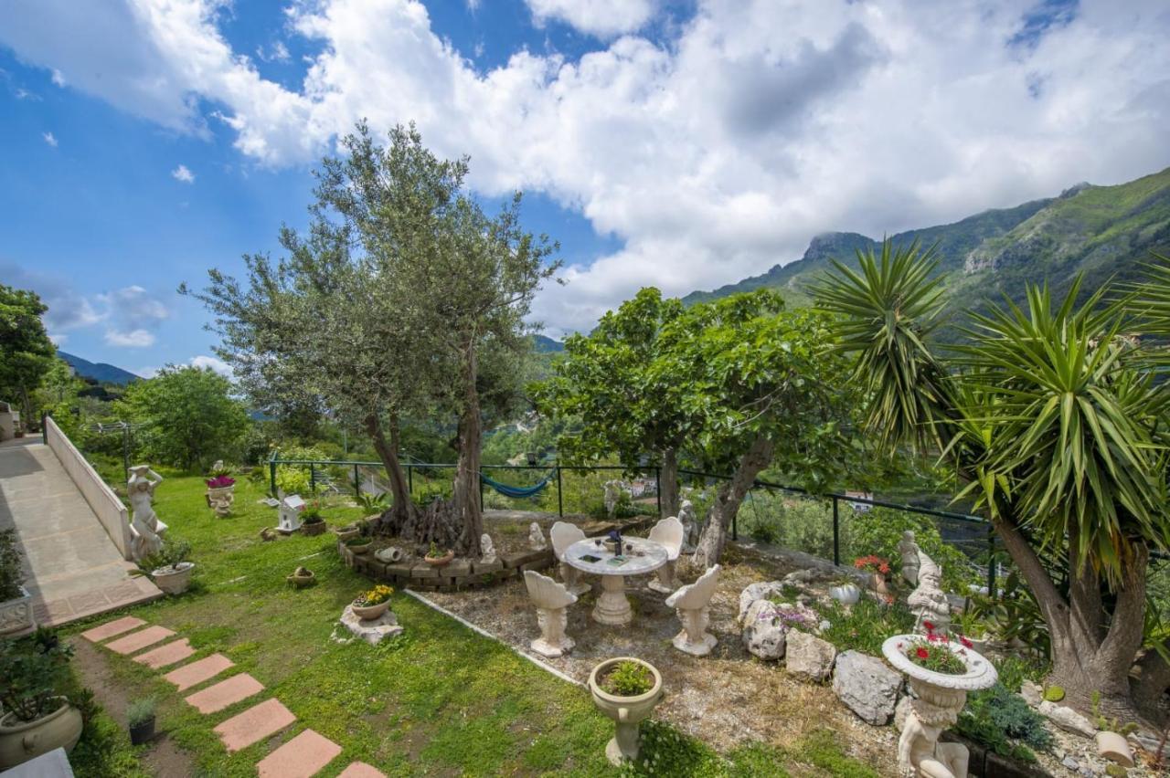 Il Mandorlo Bed & Breakfast Tramonti Exterior photo